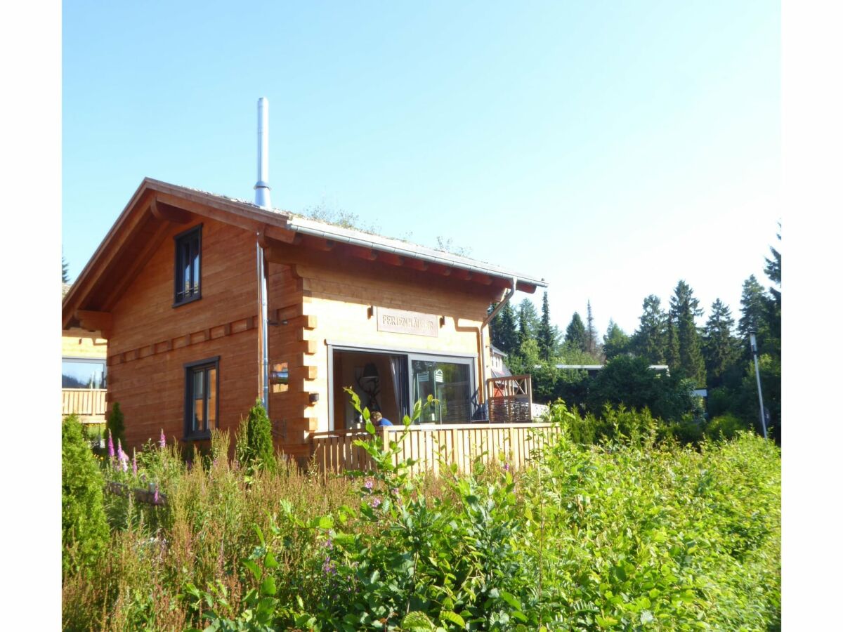 Holiday house Blockhütte im Harz mit Sauna und Kamin - Outdoor photo 3