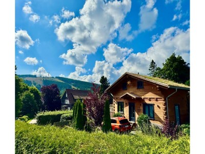 Holiday house Blockhütte im Harz mit Sauna und Kamin - Outdoor photo 4