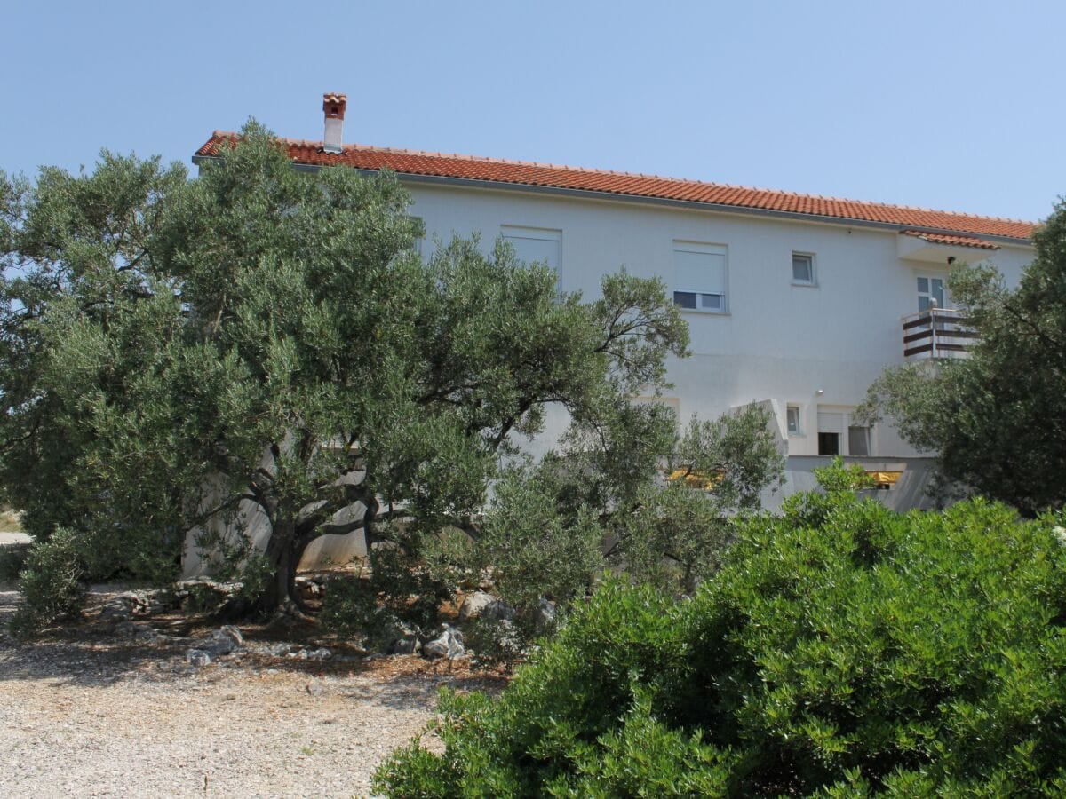 Apartment Two bedroom apartment with balcony and sea view Božava, Dugi otok A-8123-c