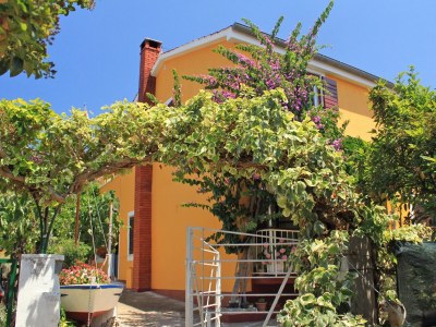 Apartment One bedroom apartment with air-conditioning Sali, Dugi otok A-8110-b in Sali - Apartment