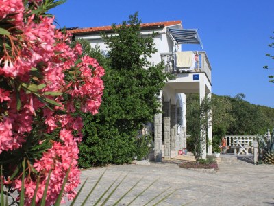 Apartment Studio flat with terrace and sea view Preko, Ugljan AS-8224-a - Outdoor photo 5