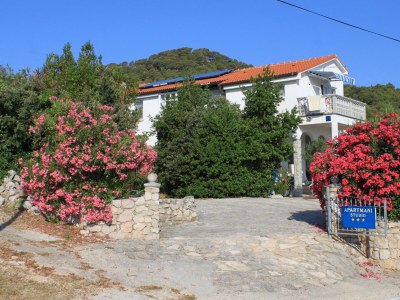 Apartment Studio flat with terrace and sea view Preko, Ugljan AS-8224-b in Preko - Apartment