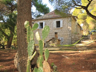 Apartment One bedroom apartment with terrace and sea view Milna, Vis A-8490-a in Vis - Apartment