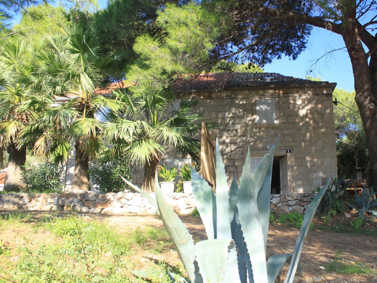Apartment Studio flat with terrace and sea view Milna, Vis AS-8490-a - Outdoor photo 5