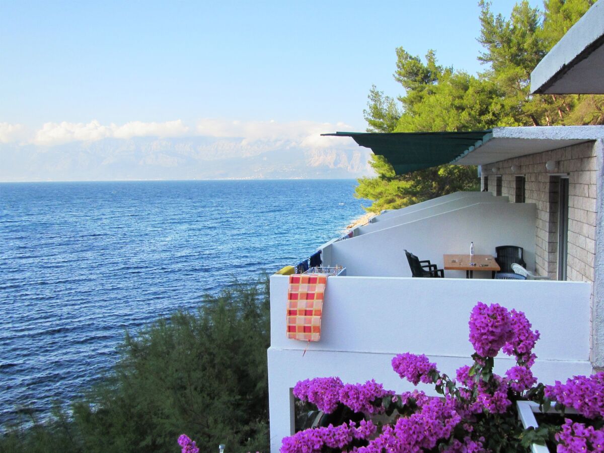 Apartment Studio flat near beach Cove Mala Pogorila, Hvar AS-8952-d