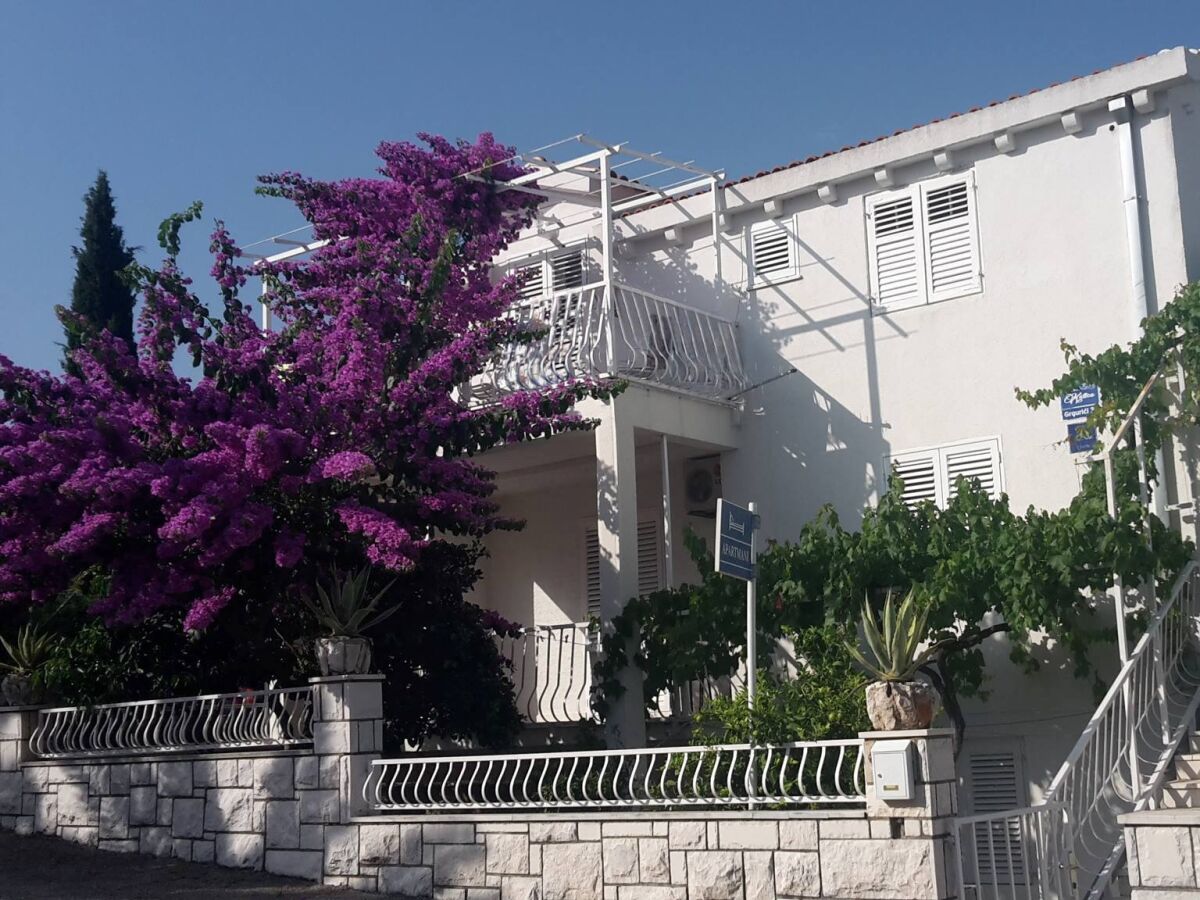 Apartment One bedroom apartment near beach Slano, Dubrovnik A-8599-a - Outdoor photo 5