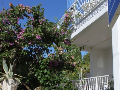 Apartment One bedroom apartment near beach Slano, Dubrovnik A-8599-a - Outdoor photo 9