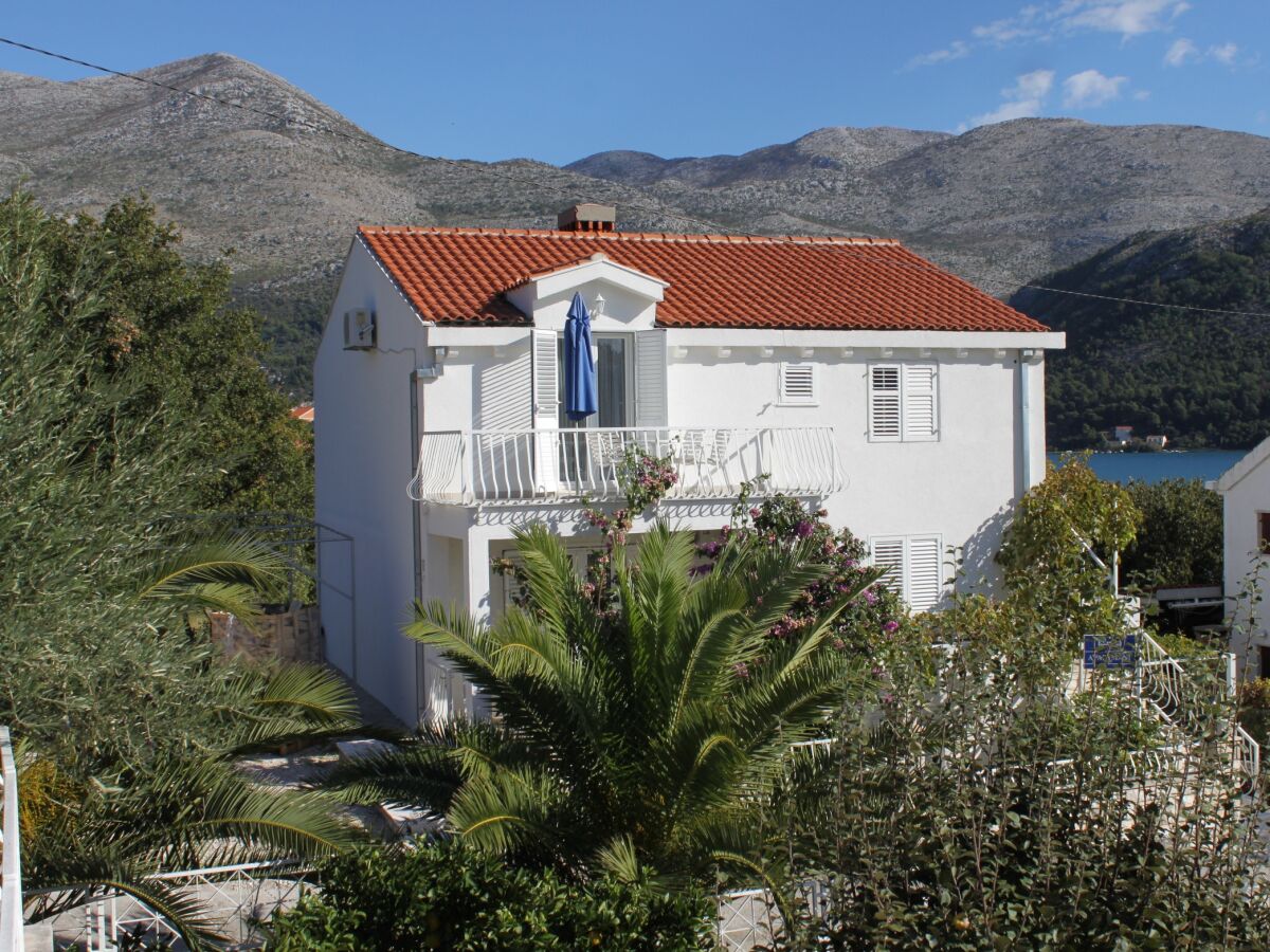 Apartment Studio flat near beach Slano, Dubrovnik AS-8599-a - Outdoor photo 3
