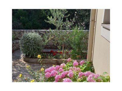 Apartment One bedroom apartment with terrace Muline, Ugljan A-8521-e - Outdoor photo 11
