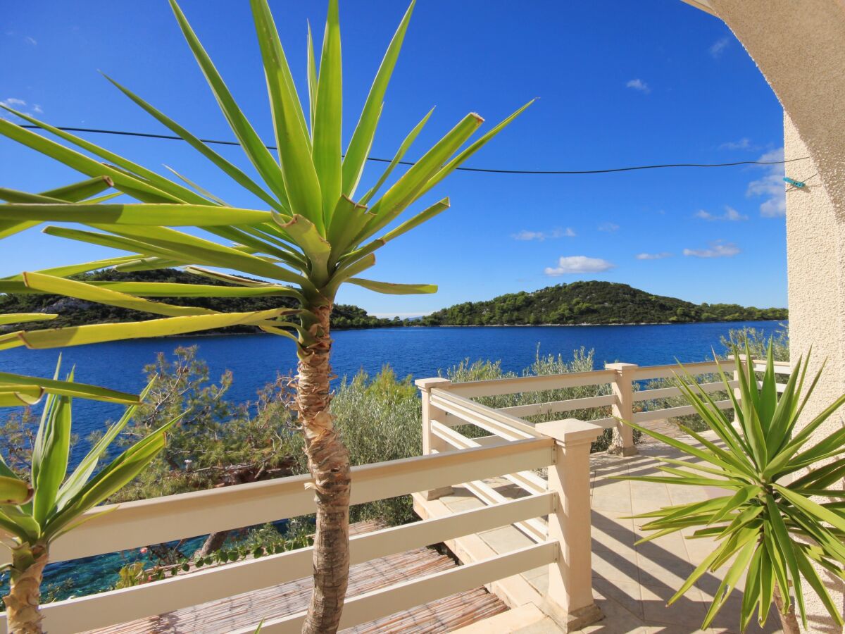 Apartment Two bedroom apartment near beach Karbuni, Korčula A-9308-b