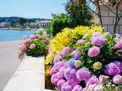 Apartment One bedroom apartment near beach Lumbarda, Korčula A-9325-b - Outdoor photo 9