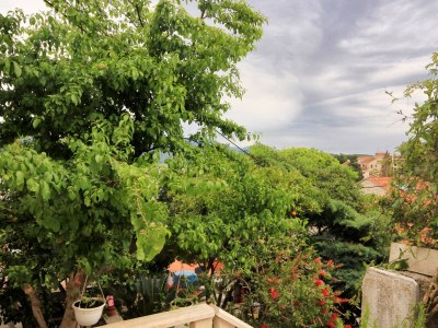 Apartment One bedroom apartment near beach Korčula A-9321-a - Outdoor photo 8