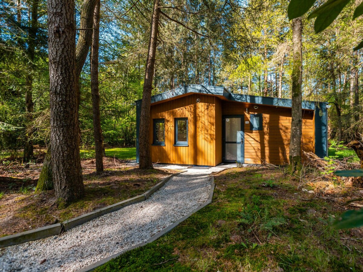 Chalet Vakantiepark De Wiltzangh - Zandborg Lodge