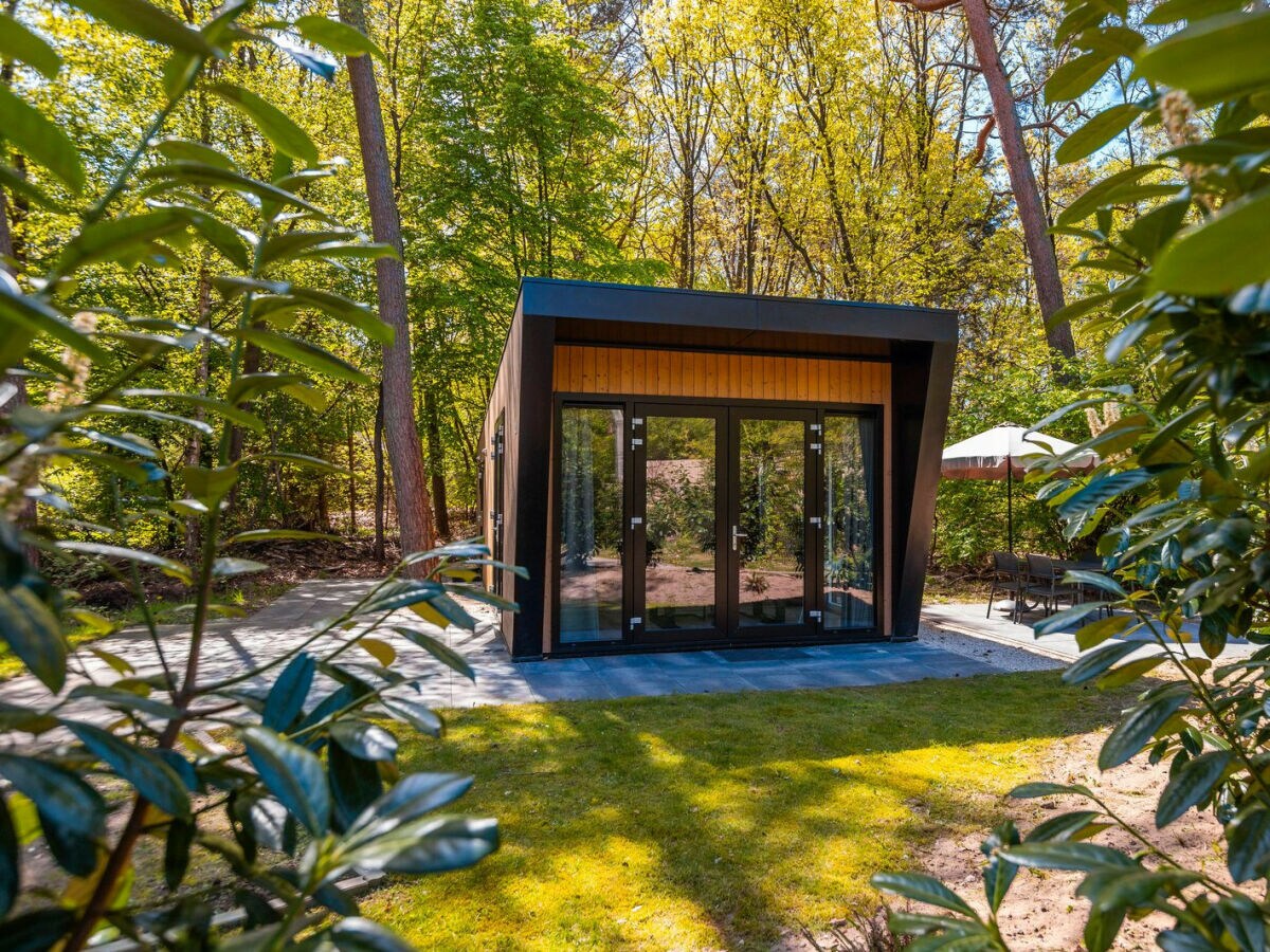 Chalet Vakantiepark De Wiltzangh - Heideborg Lodge