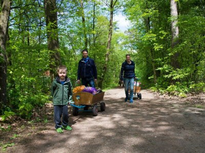Chalet Vakantiepark De Wiltzangh - Houtenborg Lodge - Outdoor photo 13