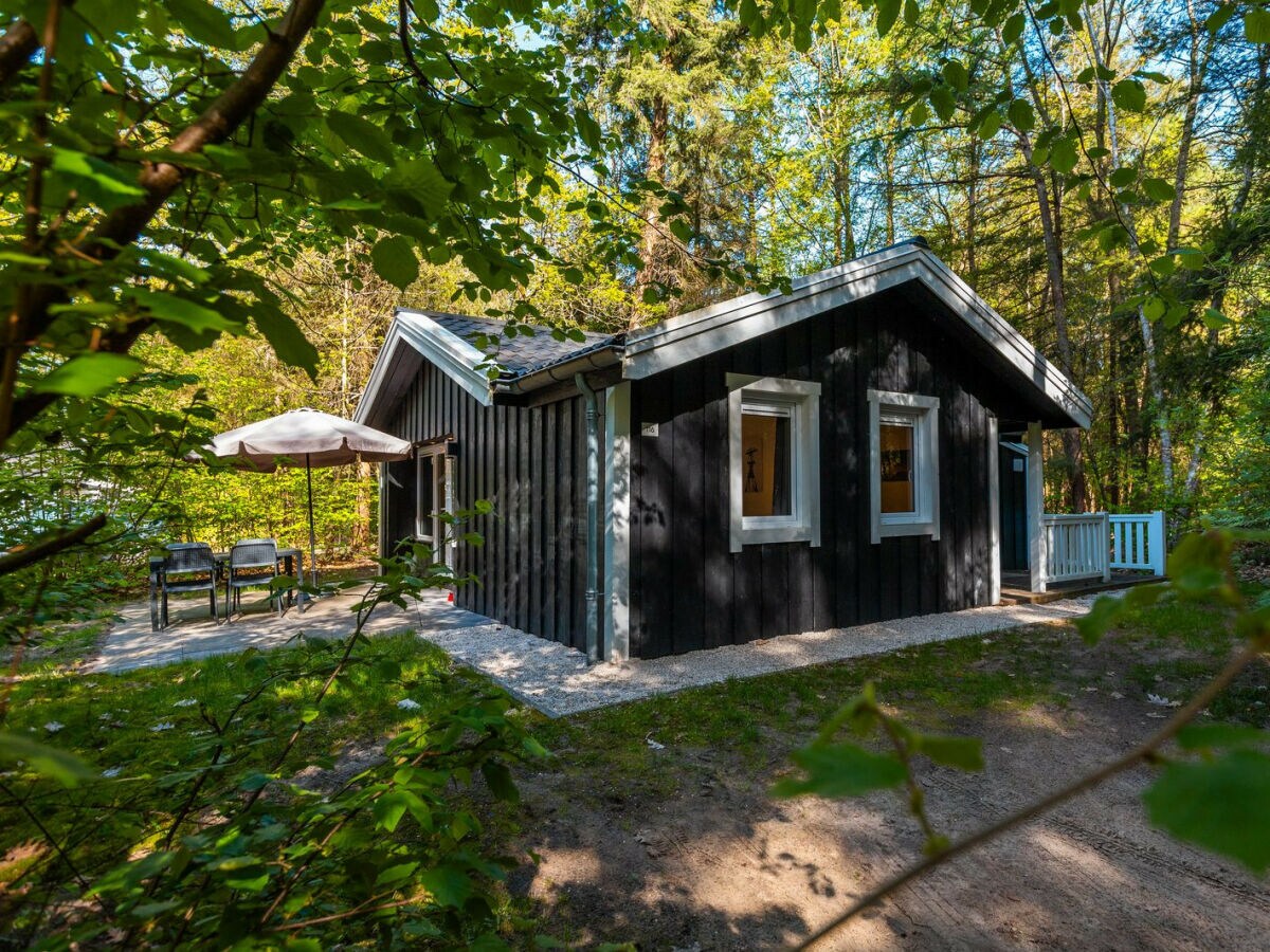 Chalet Vakantiepark De Wiltzangh - Houtenborg Lodge