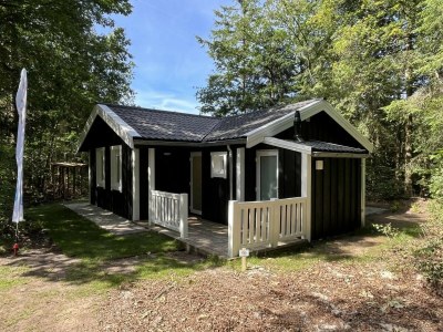 Chalet Vakantiepark De Wiltzangh- Houtenborg Lodge Hottub - Outdoor photo 15