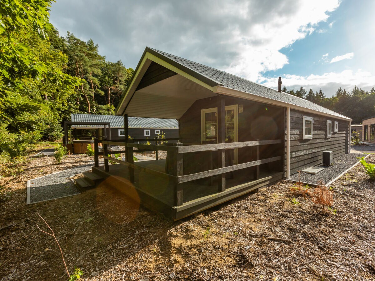 Chalet Vakantiepark De Wiltzangh - Veenborg Lodge