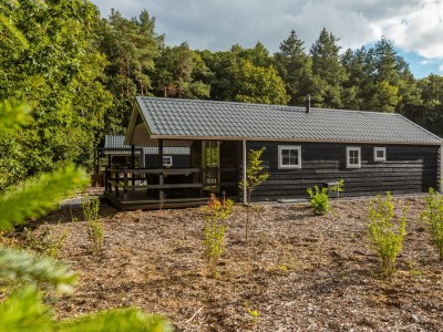 Chalet Vakantiepark De Wiltzangh - Veenborg Lodge - Outdoor photo 3
