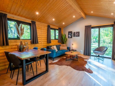 Chalet Vakantiepark De Wiltzangh - Sterrenborg Lodge Hott - Features photo 6