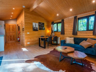 Chalet Vakantiepark De Wiltzangh - Sterrenborg Lodge Hott - Features photo 7