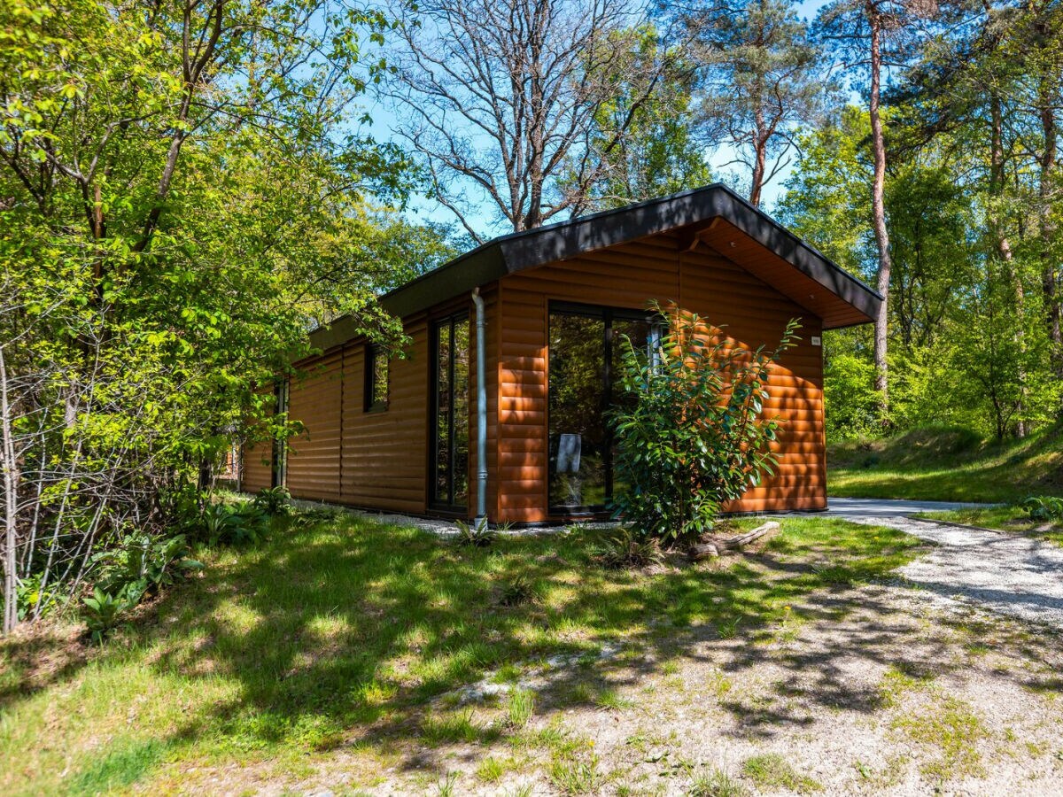 Chalet Vakantiepark De Wiltzangh - Esborg Wellness Lodge