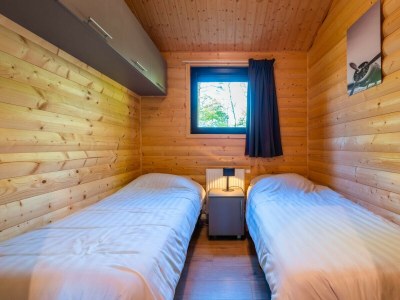 Chalet Vakantiepark De Wiltzangh - Sterrenborg Lodge - Features photo 13