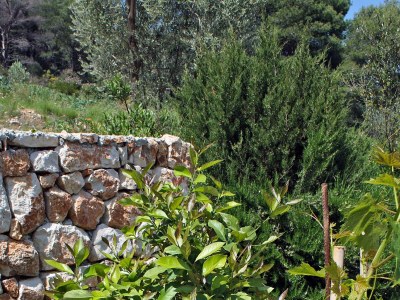 Apartment One bedroom apartment with terrace Cove Saplunara, Mljet A-4923-b - Outdoor photo 8