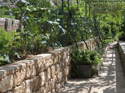 Apartment Two bedroom apartment near beach Zaton Mali, Dubrovnik A-8997-a - Outdoor photo 16
