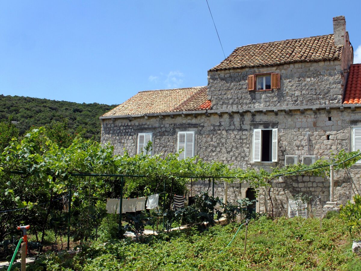 Holiday room near beach Zaton Mali, Dubrovnik S-8997-a - Outdoor photo 5
