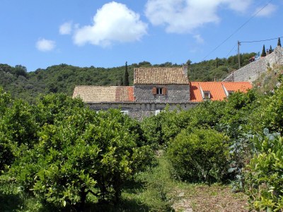 Holiday room near beach Zaton Mali, Dubrovnik S-8997-a - Outdoor photo 4