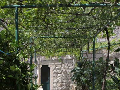 Holiday room near beach Zaton Mali, Dubrovnik S-8997-a - Outdoor photo 14