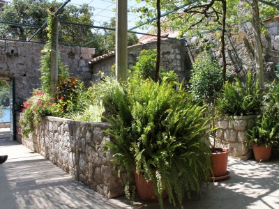 Holiday room near beach Zaton Mali, Dubrovnik S-8997-a - Outdoor photo 27