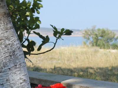 Apartment One bedroom apartment near beach Seline, Paklenica A-6528-b - Outdoor photo 12