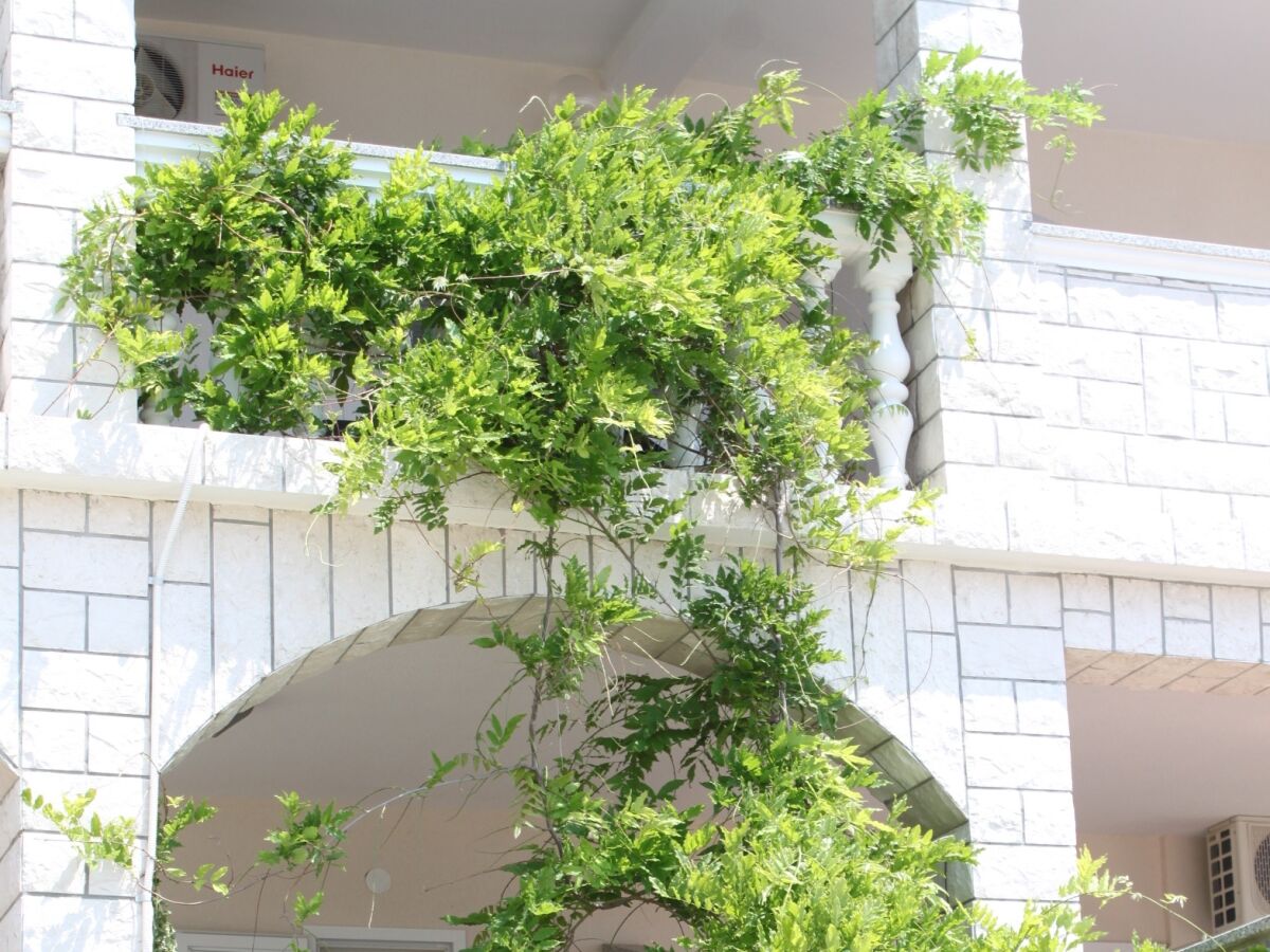 Apartment Studio flat with terrace Stara Novalja, Pag AS-6469-a - Outdoor photo 5