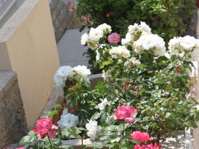 Apartment Studio flat with terrace Stara Novalja, Pag AS-6469-a - Outdoor photo 8