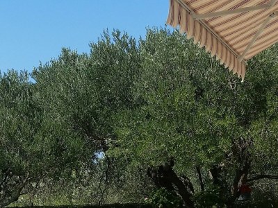 Apartment One bedroom apartment with air-conditioning Makarska A-6768-b - Outdoor photo 4
