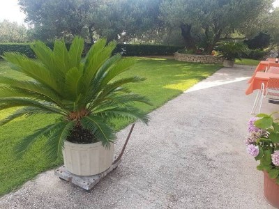 Apartment One bedroom apartment with air-conditioning Makarska A-6768-b - Outdoor photo 7