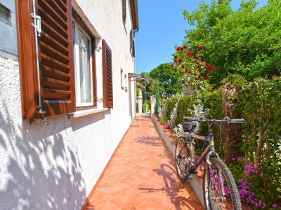 Apartment Two bedroom apartment with terrace Kukci, Poreč A-20797-b - Outdoor photo 10