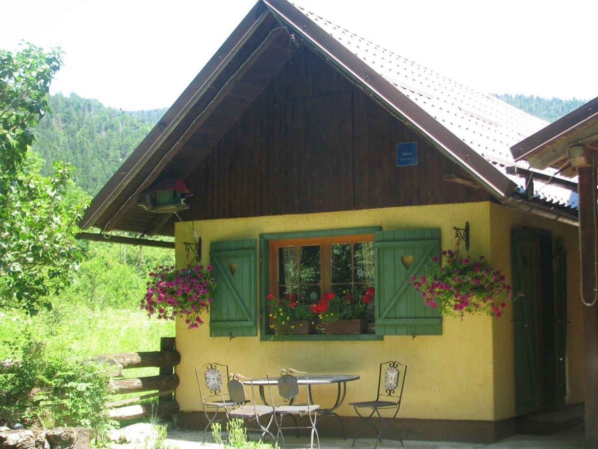 Apartment One bedroom apartment (pet friendly) Jasenak, Gorski kotar A-20718-e