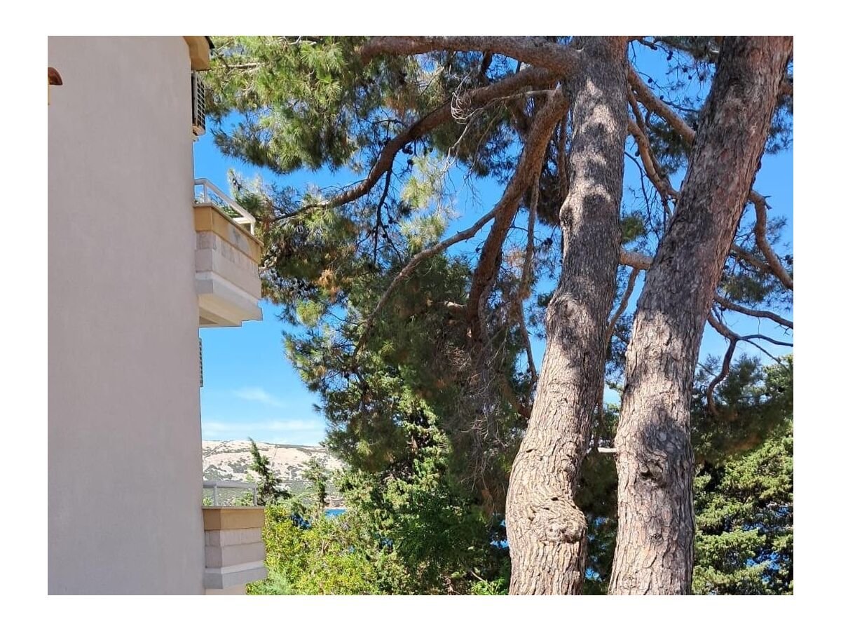 Apartment Two bedroom apartment near beach Stara Novalja, Pag A-24010-b - Outdoor photo 4
