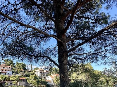 Apartment One bedroom apartment near beach Basina, Hvar A-24120-a - Outdoor photo 7