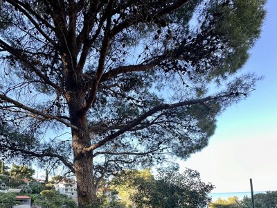 Apartment One bedroom apartment near beach Basina, Hvar A-24120-b - Outdoor photo 4