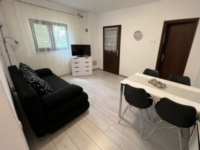Apartment One bedroom apartment with terrace Jadranovo, Crikvenica A-24210-a in Jadranovo - Apartment