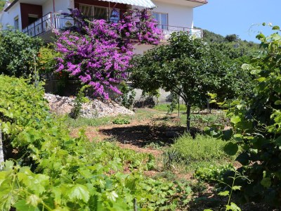 Apartment Two bedroom apartment with terrace and sea view Vinišće, Trogir A-10241-b - Outdoor photo 17