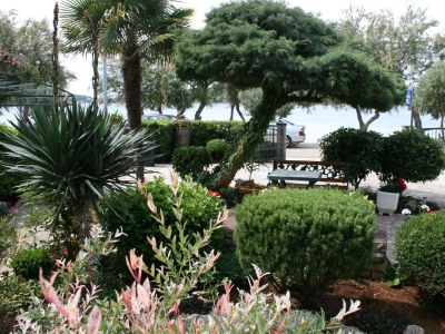 Apartment One bedroom apartment near beach Vodice A-4198-b - Outdoor photo 10