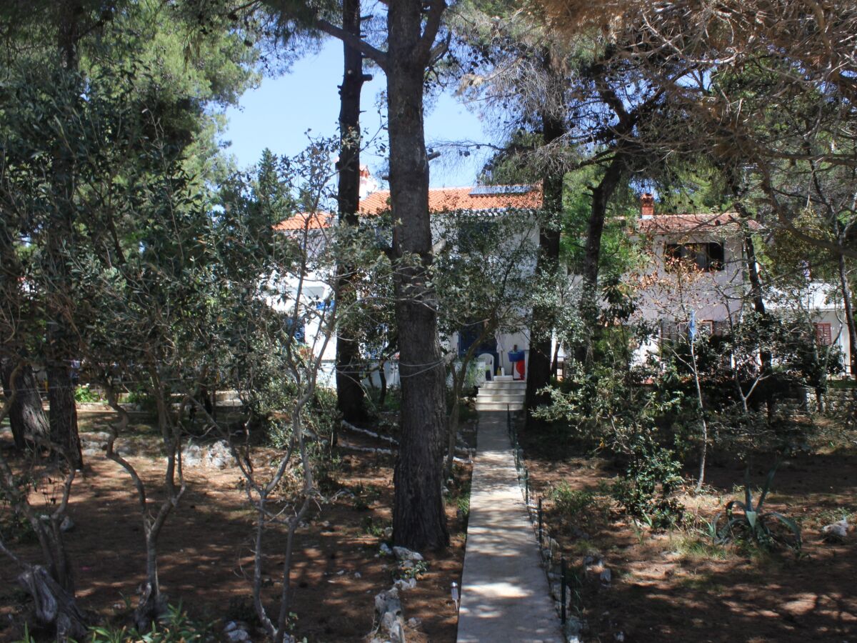 Apartment One bedroom apartment near beach Artatore, Lošinj A-7935-c - Outdoor photo 3