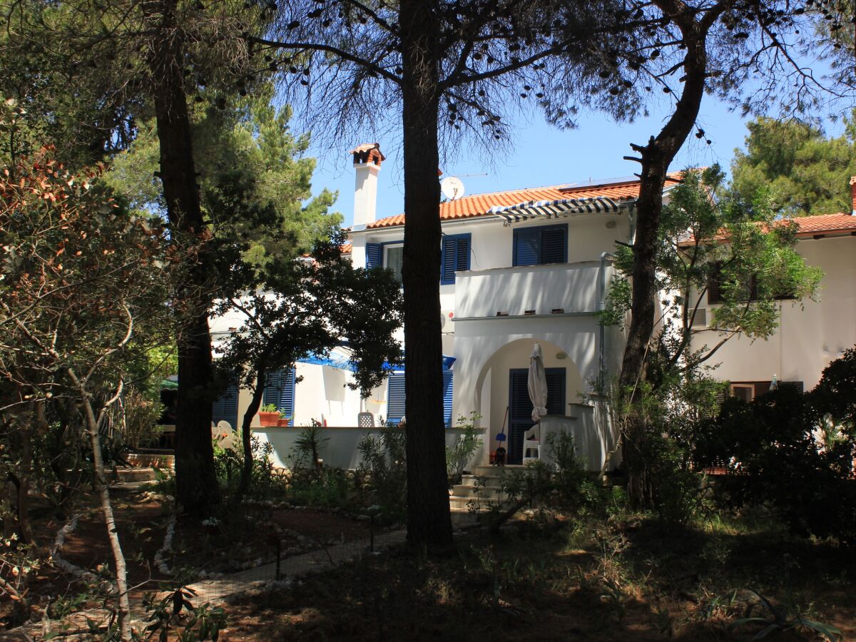 Apartment One bedroom apartment near beach Artatore, Lošinj A-7935-c - Outdoor photo 4