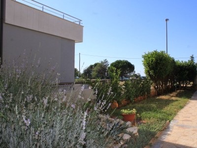 Apartment Two bedroom apartment with terrace and sea view Fažana A-7205-a - Outdoor photo 7