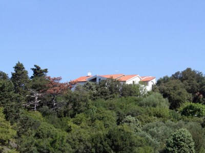 Apartment Two bedroom apartment with terrace Suha Punta, Rab A-5050-c - Outdoor photo 2